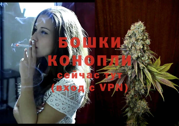 ешки Белокуриха