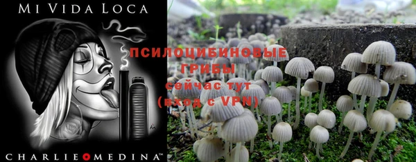 ешки Белокуриха