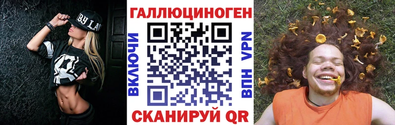 Купить где  Фёдоровский  Псилоцибиновые грибы Psilocybe 